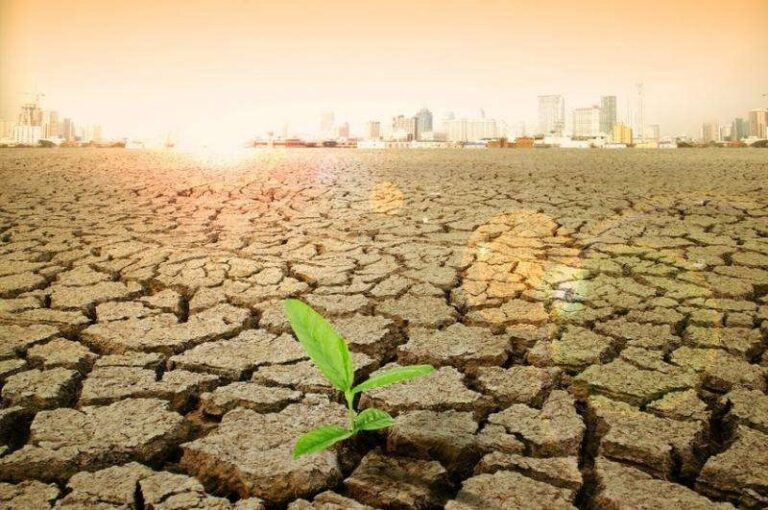 Controlling the Water Absorbency of Agricultural Polymers