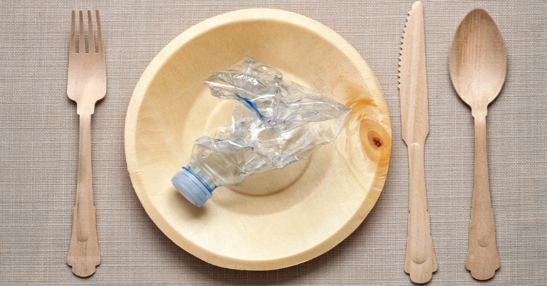 Sustainable Solutions: Materials for a Greener Tomorrow